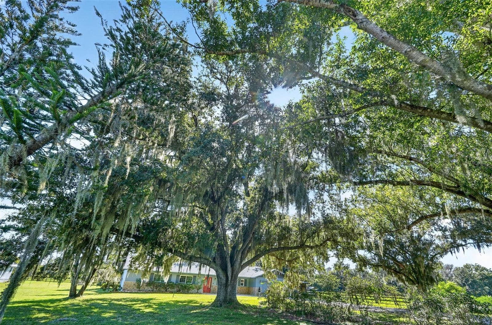 37550 CLAY GULLY ROAD, Myakka City, FL 34251 37550 CLAY GULLY ROAD, Myakka City, FL 34251