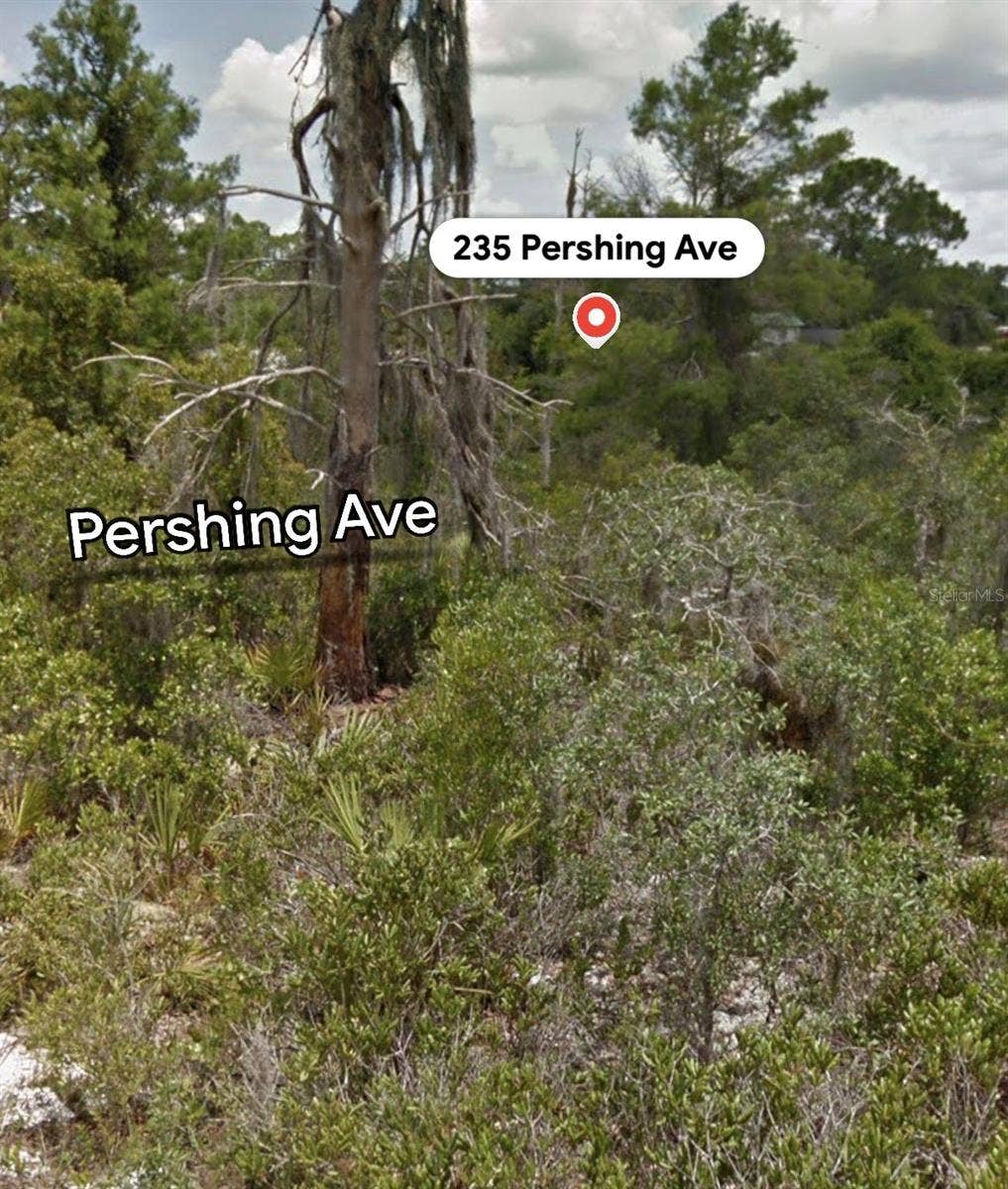 235 PERSHING AVENUE, Lake Placid, FL 33852 235 PERSHING AVENUE, Lake Placid, FL 33852