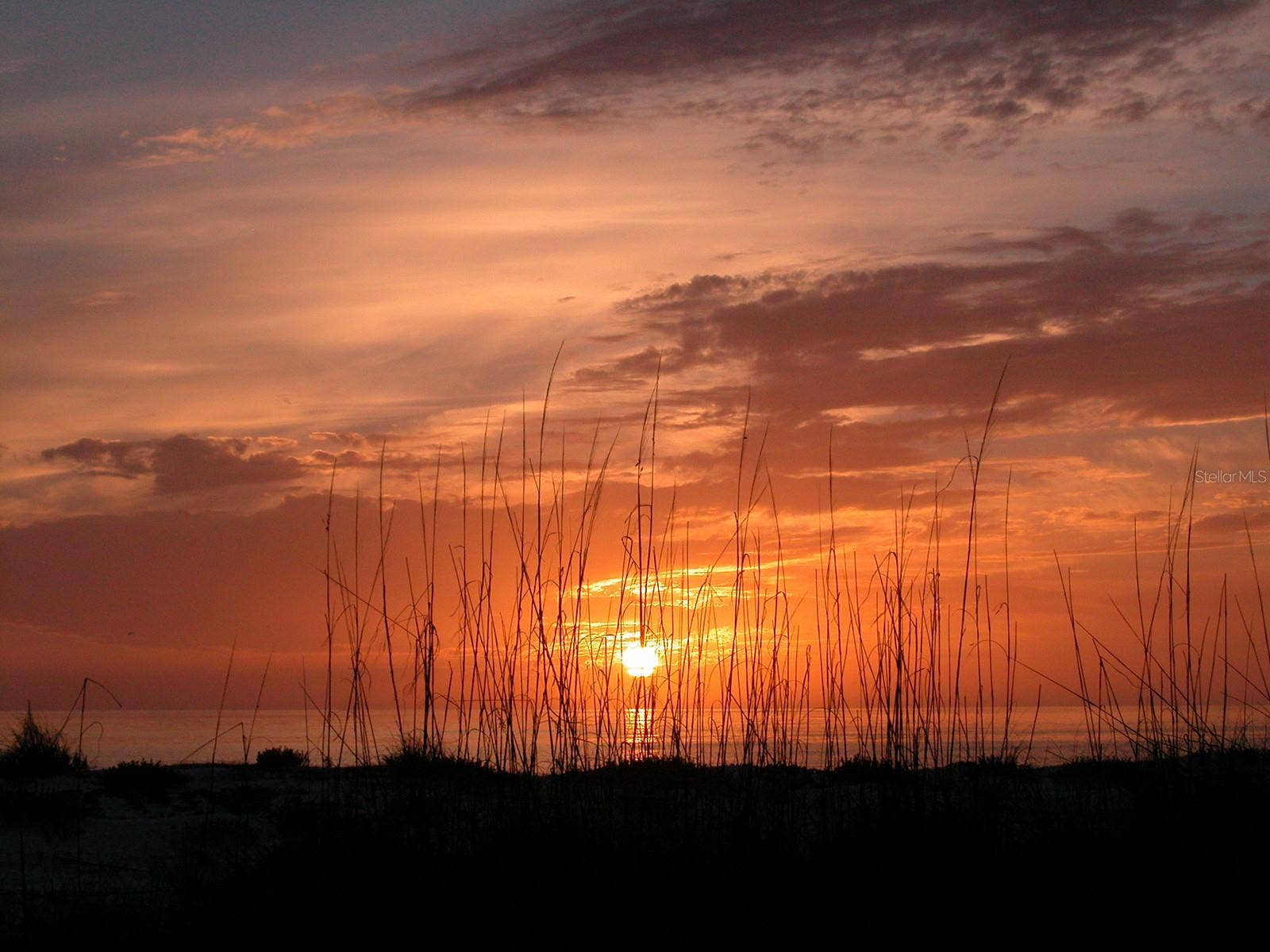 2245 HARBOURSIDE DRIVE, #101, Longboat Key, FL 34228 2245 HARBOURSIDE DRIVE, #101, Longboat Key, FL 34228
