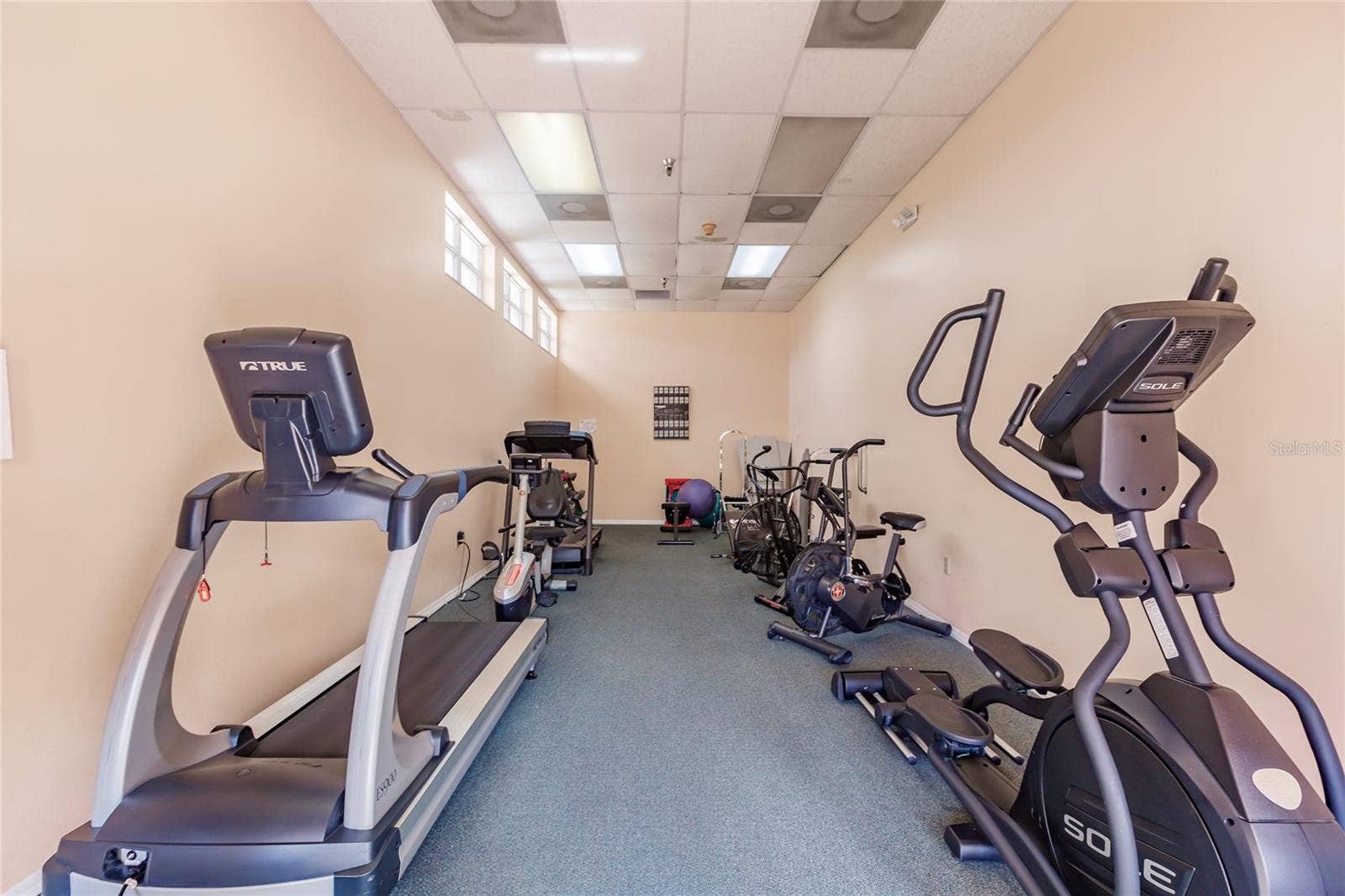 4550 PINEBROOK CIRCLE, #203, Bradenton, FL 34209 Clubhouse - Fitness Center