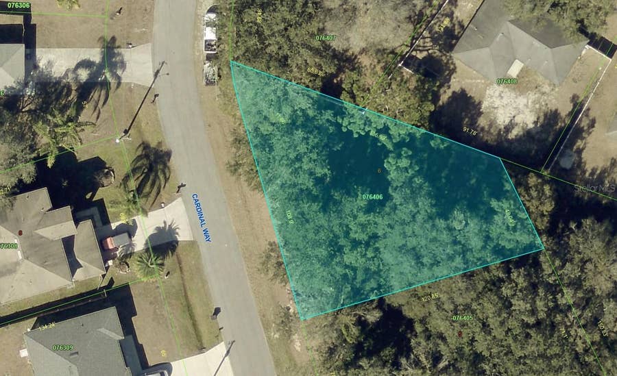Property photo for 807 CARDINAL WAY, Poinciana, FL