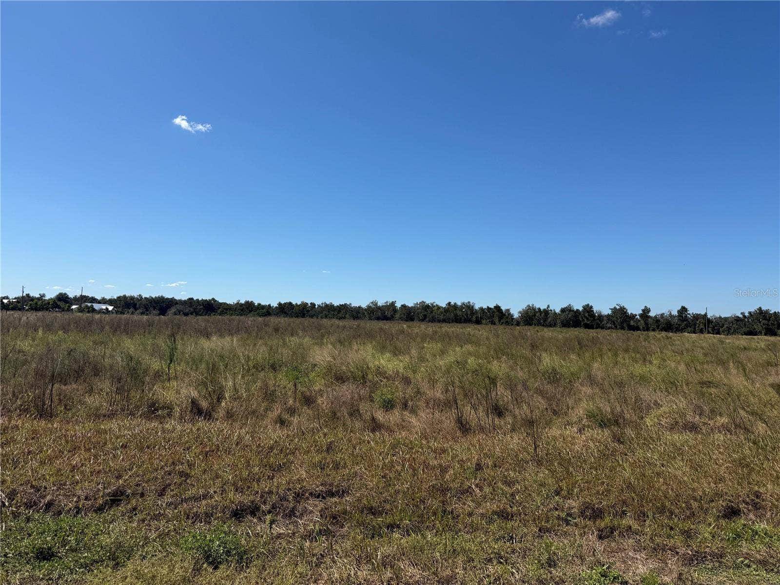 HIMROD ROAD, Bowling Green, FL 33834 Looking at the property from Himrod Rd.
