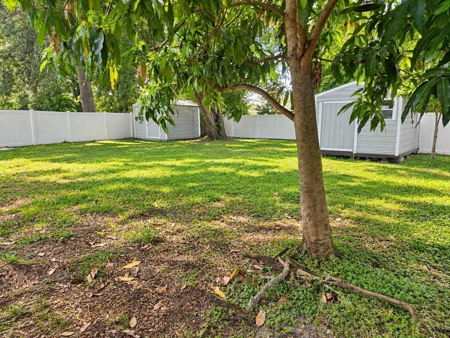 3707 W BAY AVENUE, Tampa, FL 33611 Back of house