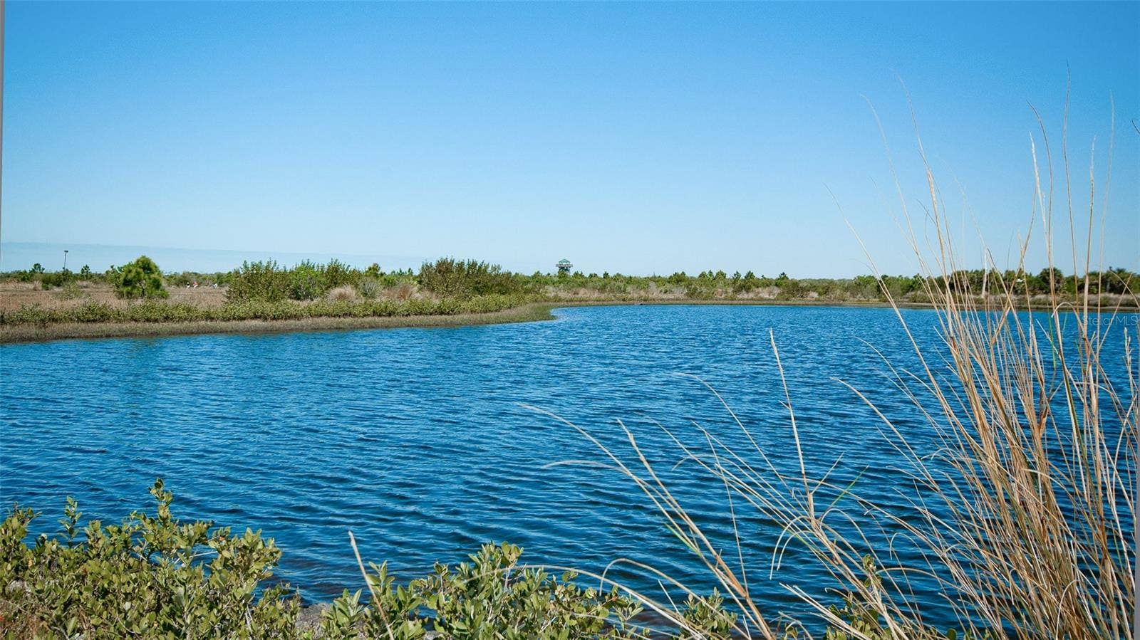 402 SPRING LAKES BOULEVARD, #402, Bradenton, FL 34210 Great views along the preserve