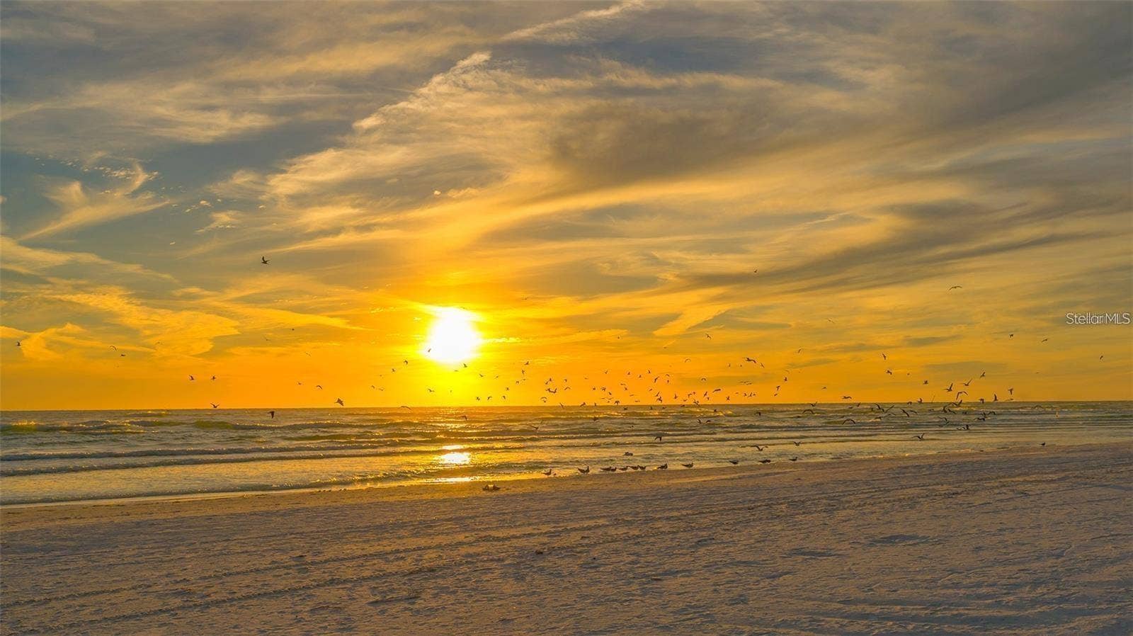 8800 MIDNIGHT PASS ROAD, Sarasota, FL 34242 8800 MIDNIGHT PASS ROAD, Sarasota, FL 34242