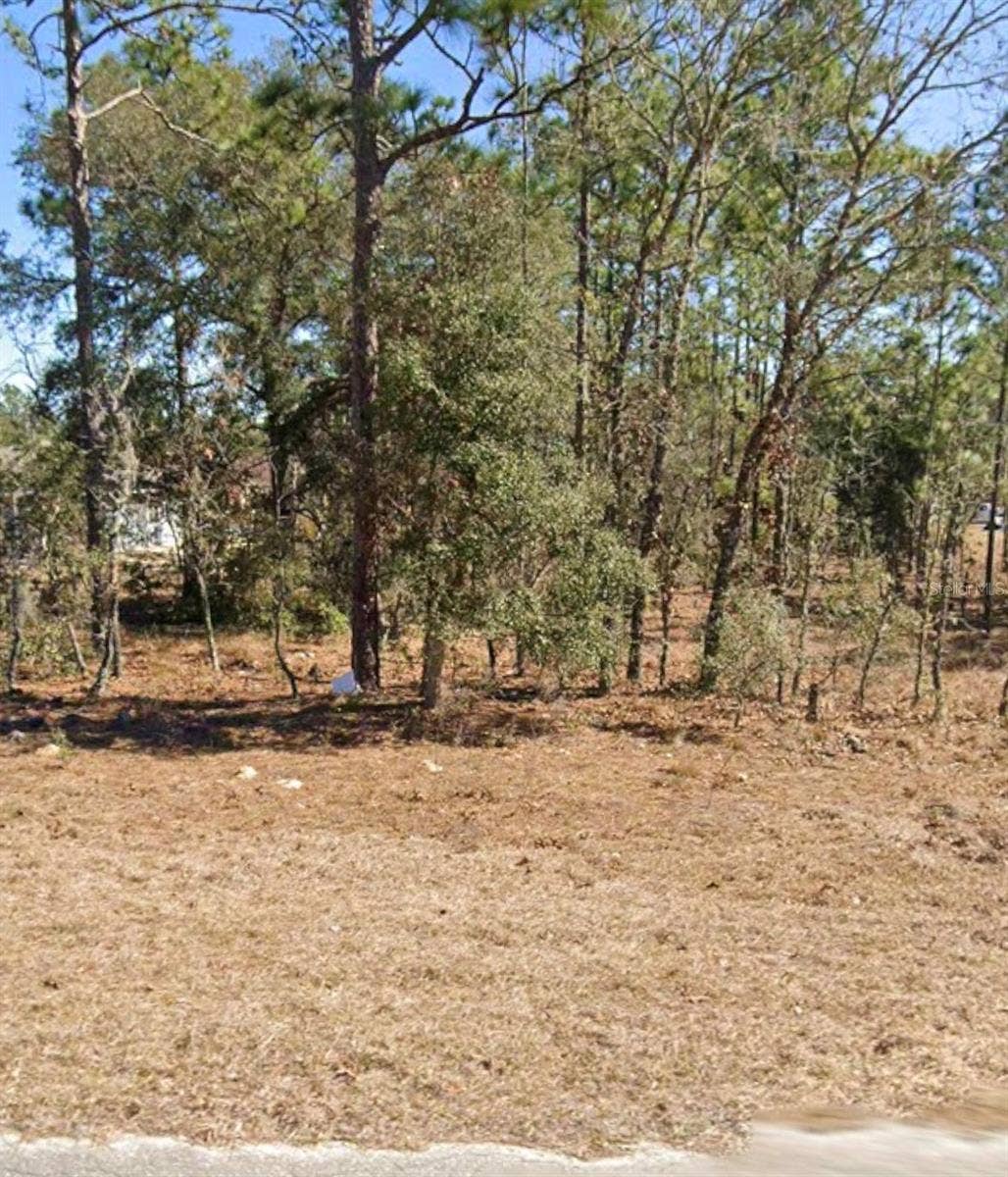 NE 150TH AVENUE, Williston, FL 32696 NE 150TH AVENUE, Williston, FL 32696