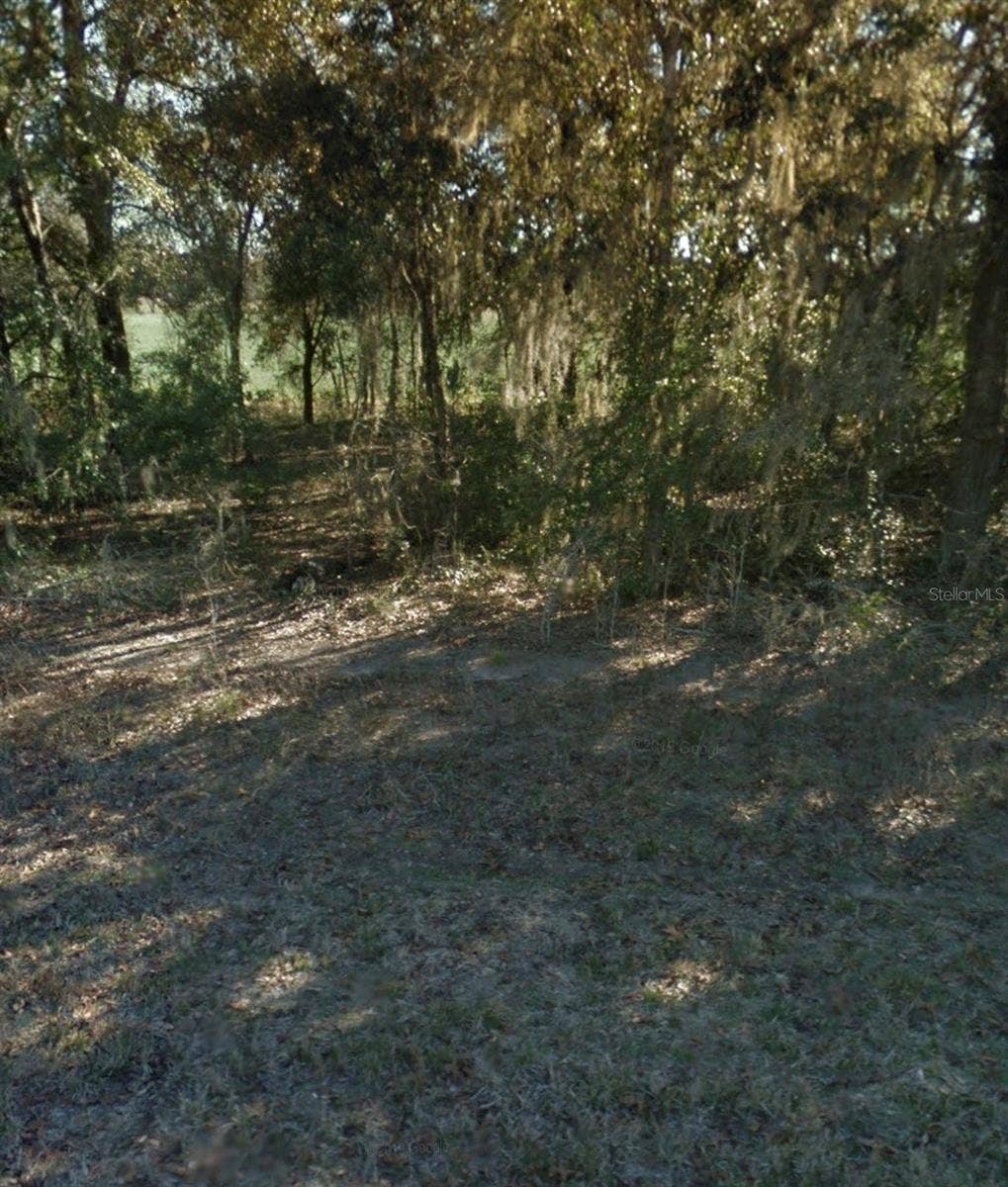 NE 5TH STREET, Williston, FL 32696 NE 5TH STREET, Williston, FL 32696