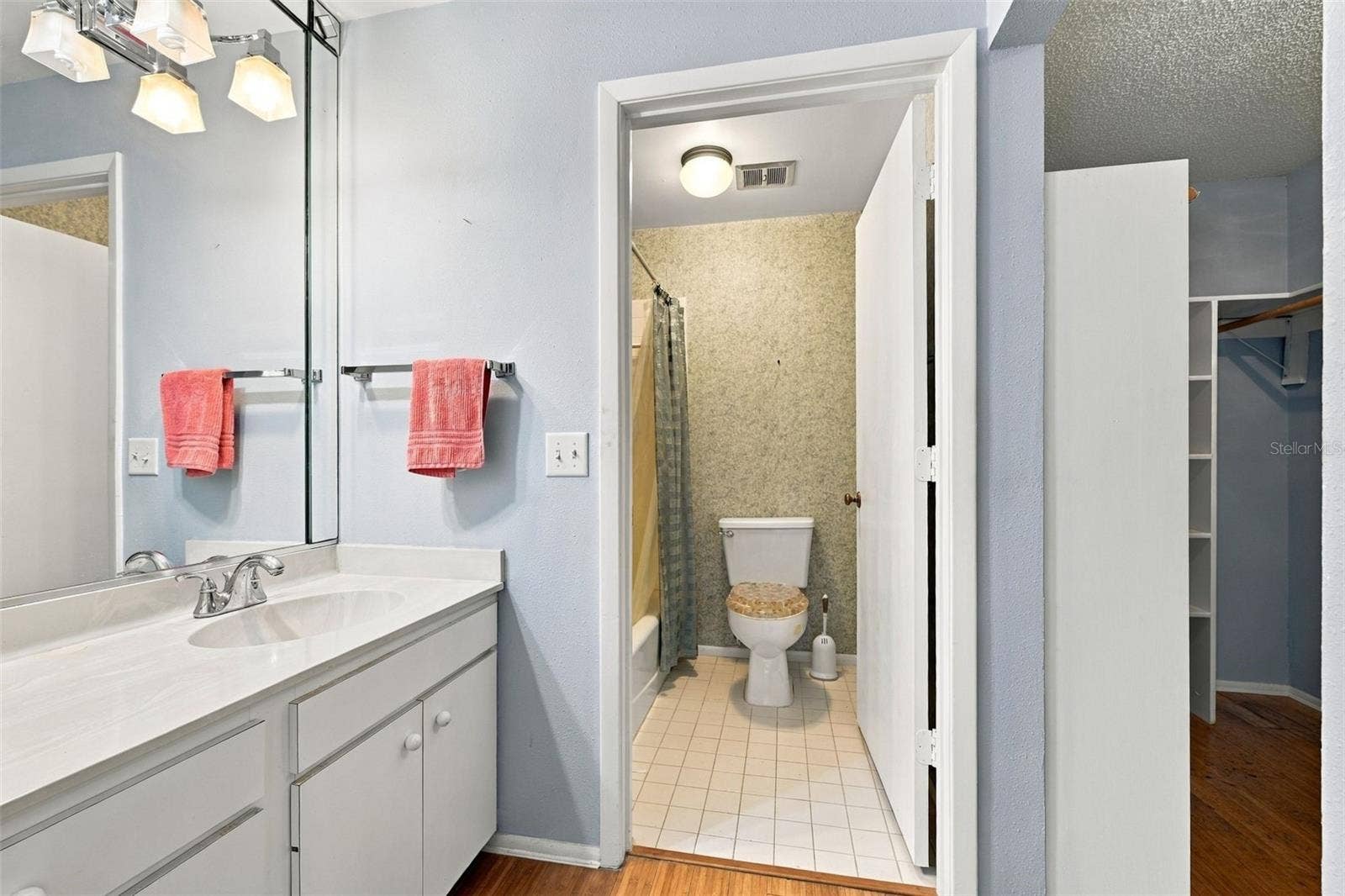 Master vanity area