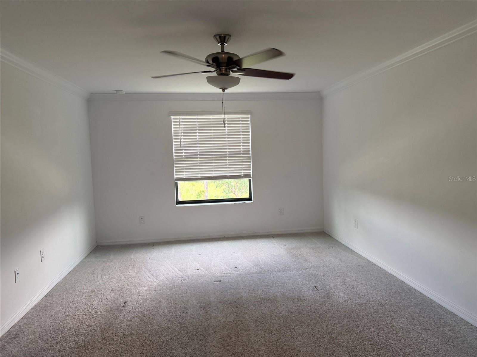 19500 FISHHAWK TRAIL, Venice, FL 34293 19500 FISHHAWK TRAIL, Venice, FL 34293