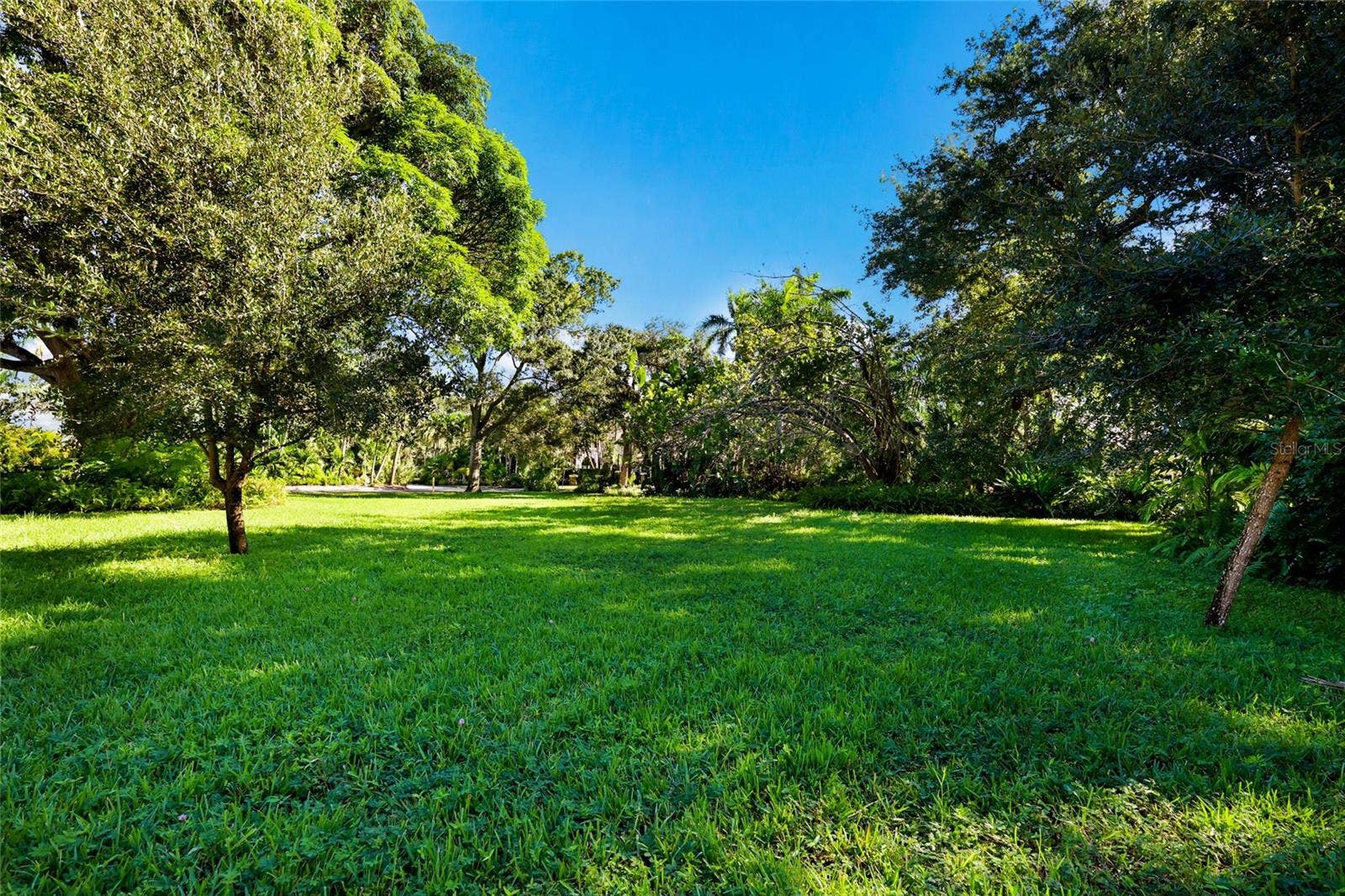 Separate Lot that can be purchased
