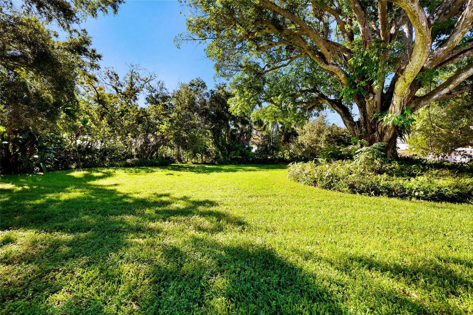Separate Lot that can be purchased