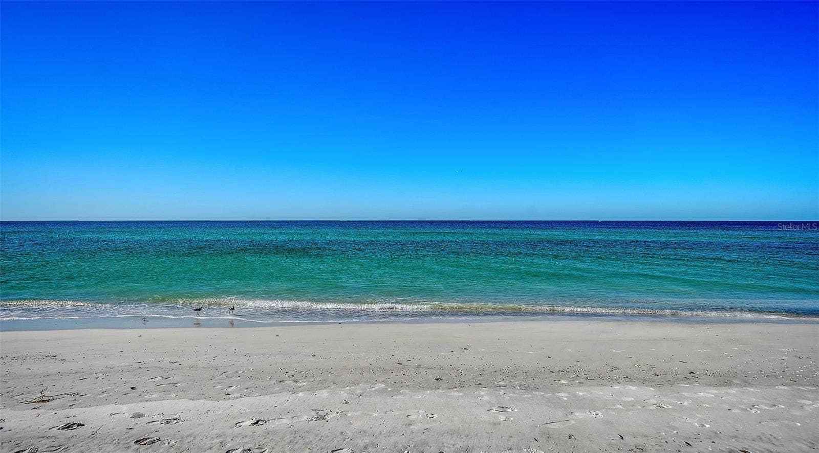 6061 GULF OF MEXICO DRIVE, Longboat Key, FL 34228