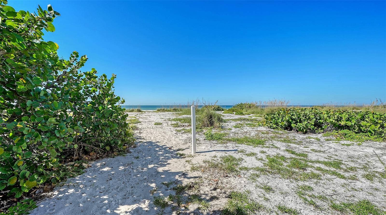 6061 GULF OF MEXICO DRIVE, Longboat Key, FL 34228