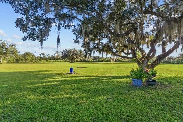 7207 237TH STREET E, Myakka City, FL 34251 7207 237TH STREET E, Myakka City, FL 34251
