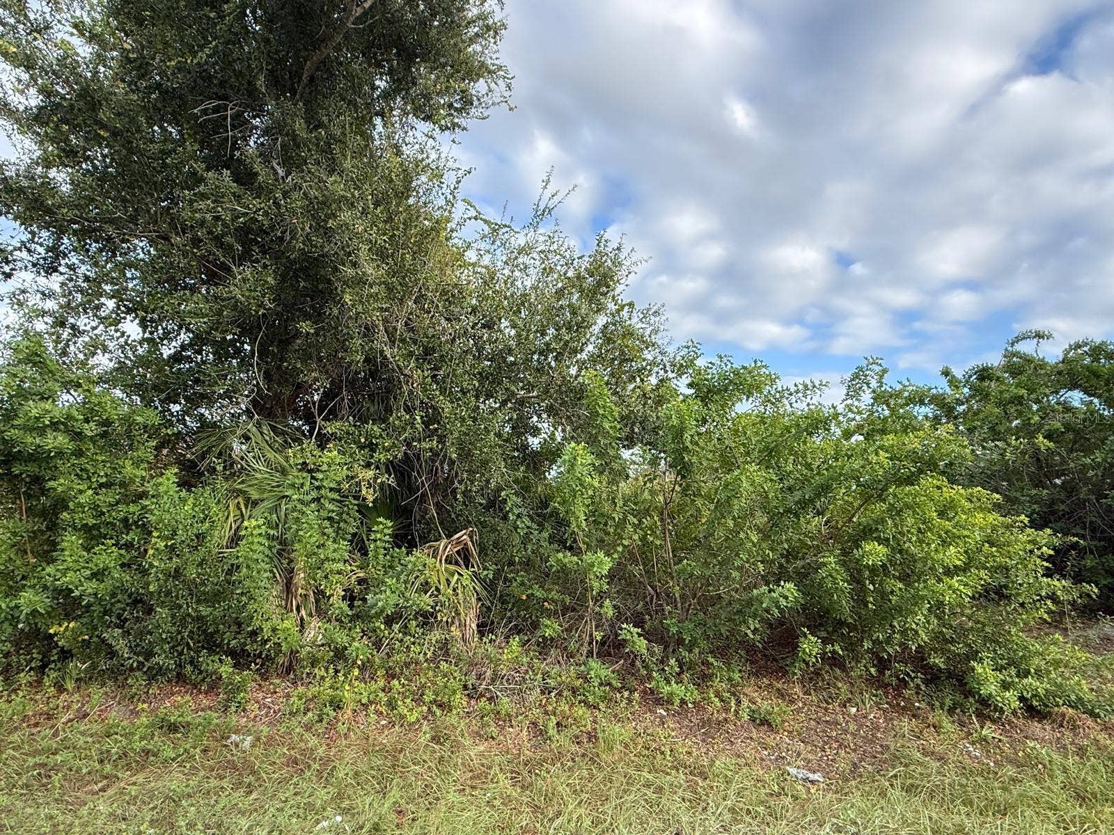 9236 AGATE STREET, Port Charlotte, FL 33981