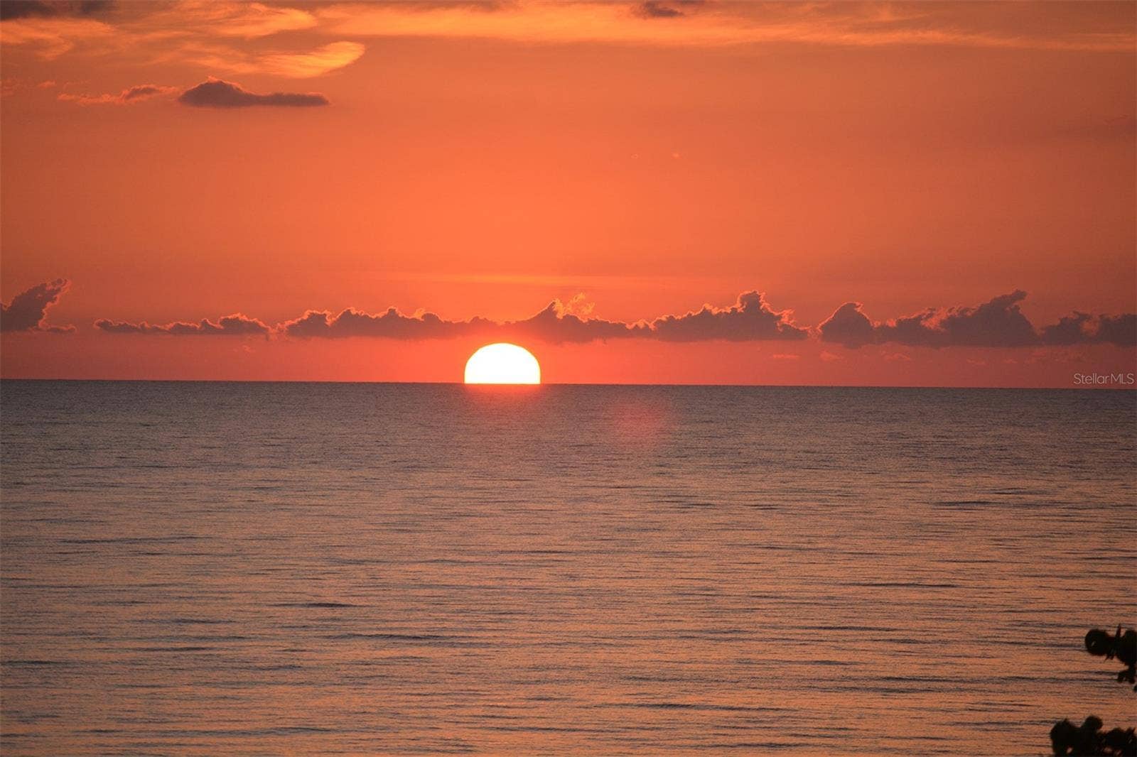 1241 GULF OF MEXICO DRIVE, #803, Longboat Key, FL 34228 1241 GULF OF MEXICO DRIVE, #803, Longboat Key, FL 34228