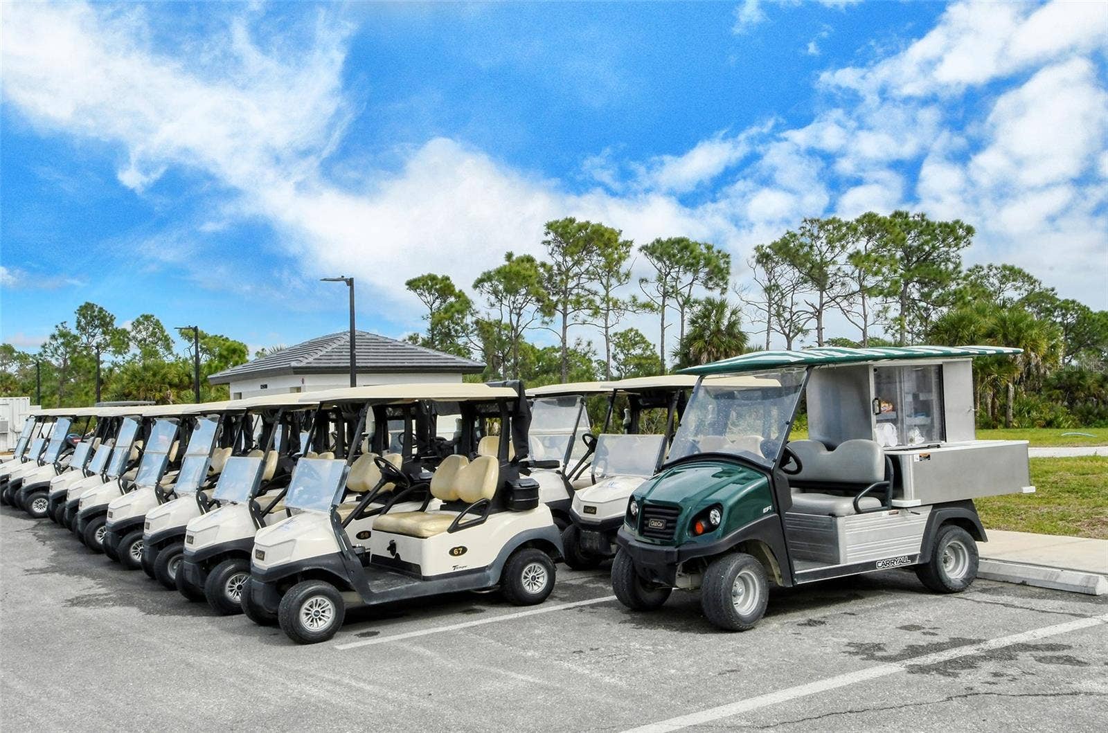 17625 OPAL SAND DRIVE, #203, Venice, FL 34293 17625 OPAL SAND DRIVE, #203, Venice, FL 34293