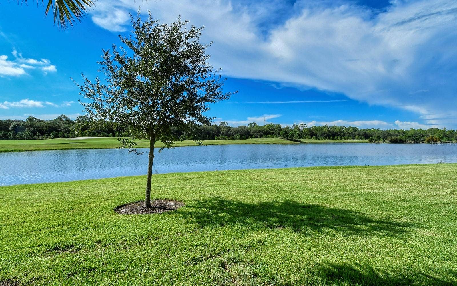 16706 VARDON TERRACE, #105, Bradenton, FL 34211 16706 VARDON TERRACE, #105, Bradenton, FL 34211