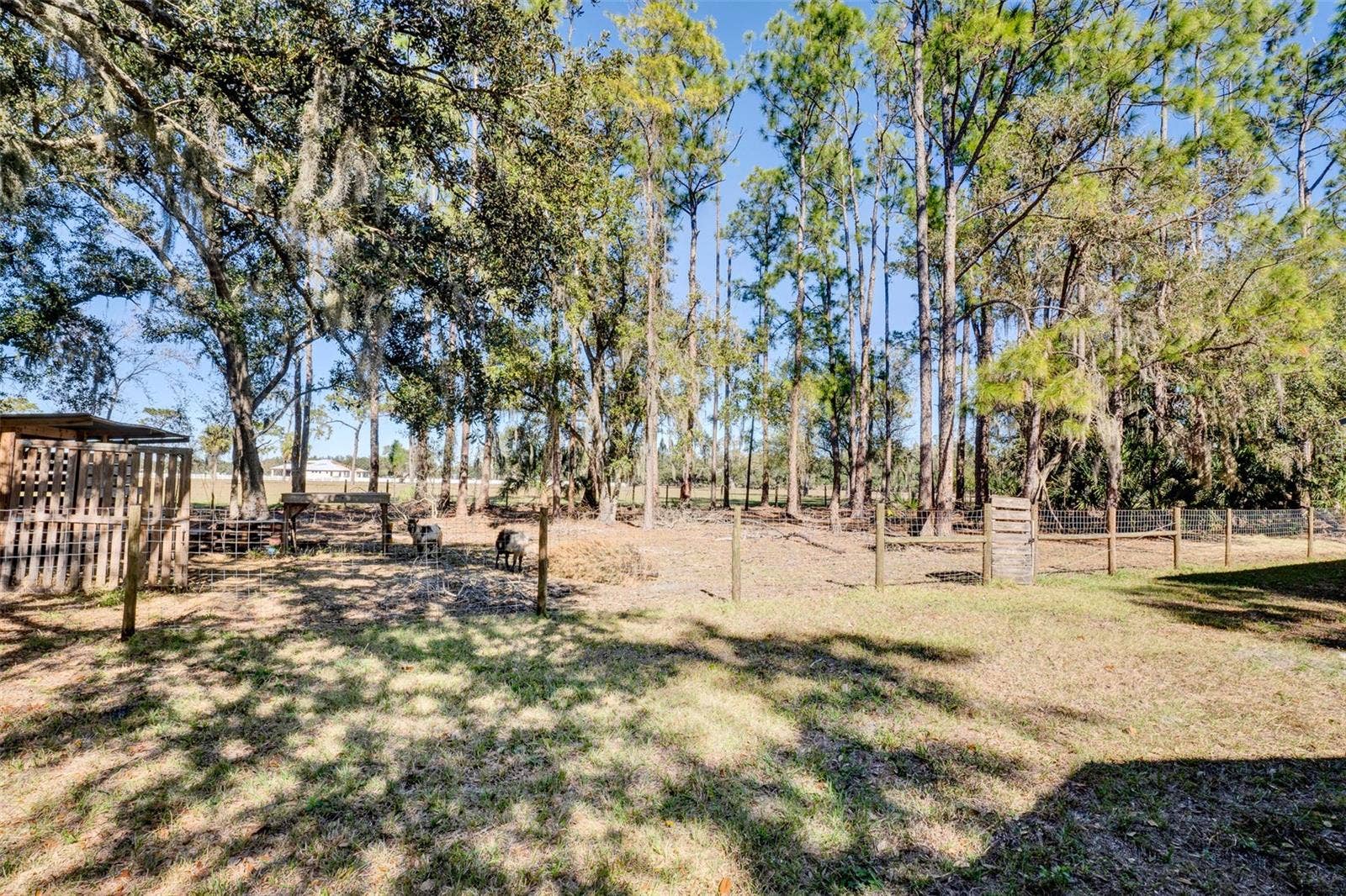 16418 WINBURN DRIVE, Sarasota, FL 34240 Fenced In Small Animal Area