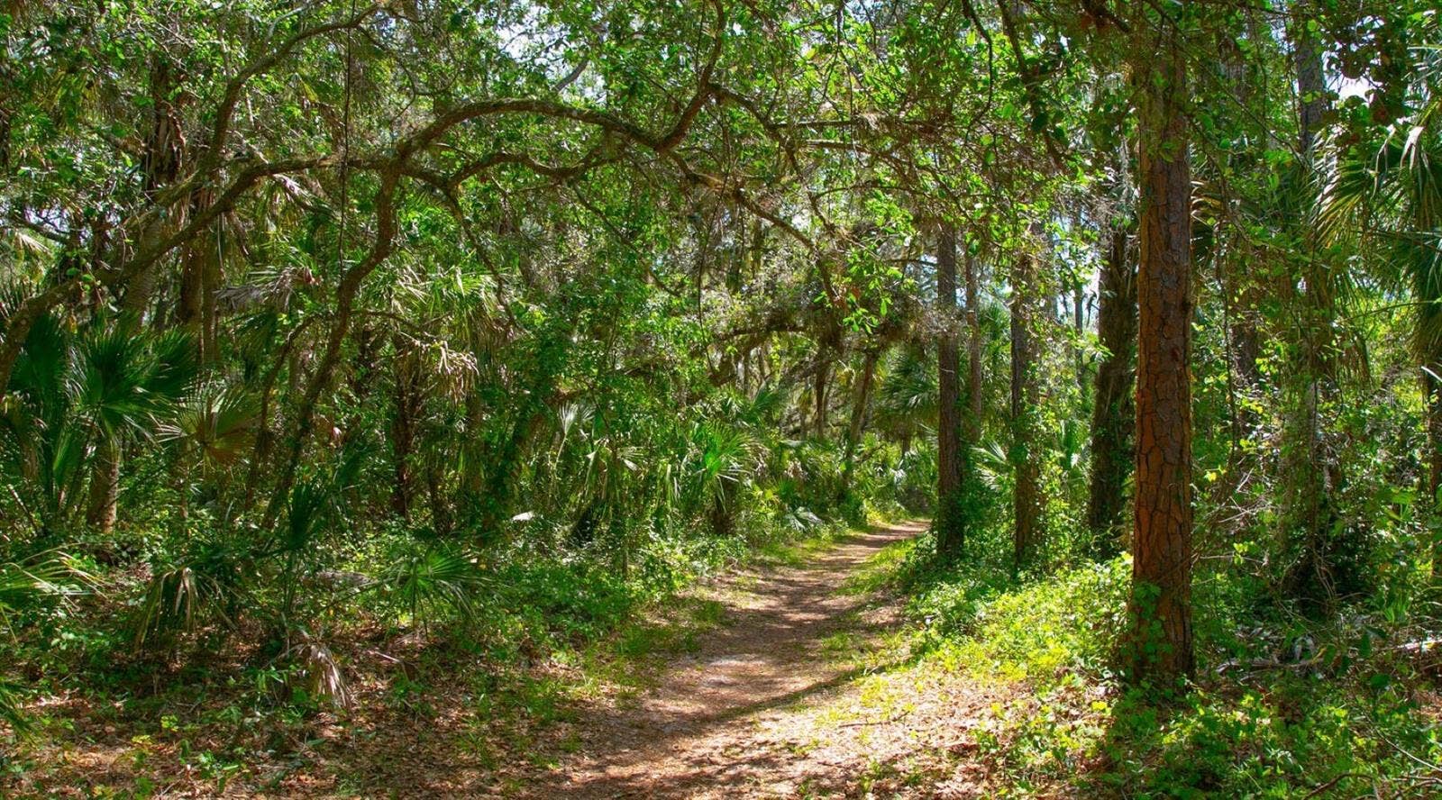 3817 FISHING TRAIL, #64, Sarasota, FL 34235 3817 FISHING TRAIL, #64, Sarasota, FL 34235