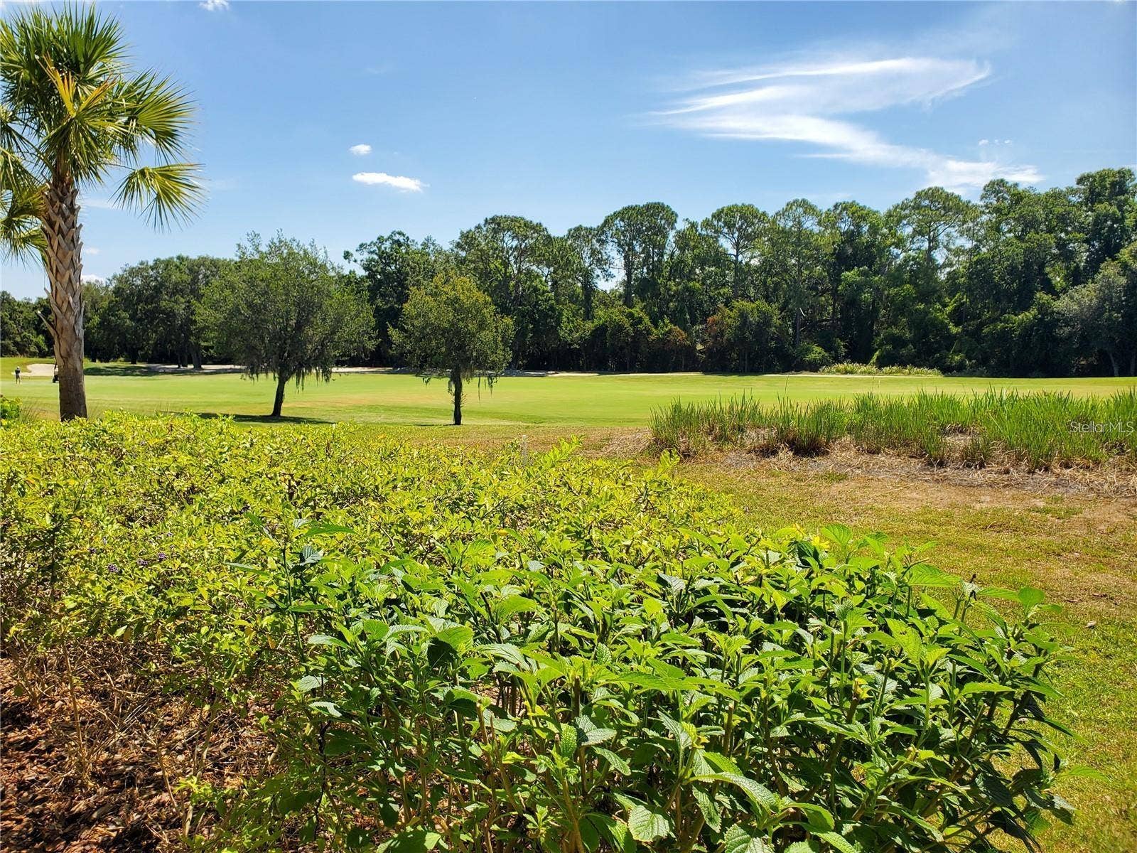13816 MESSINA LOOP, #102, Bradenton, FL 34211 View