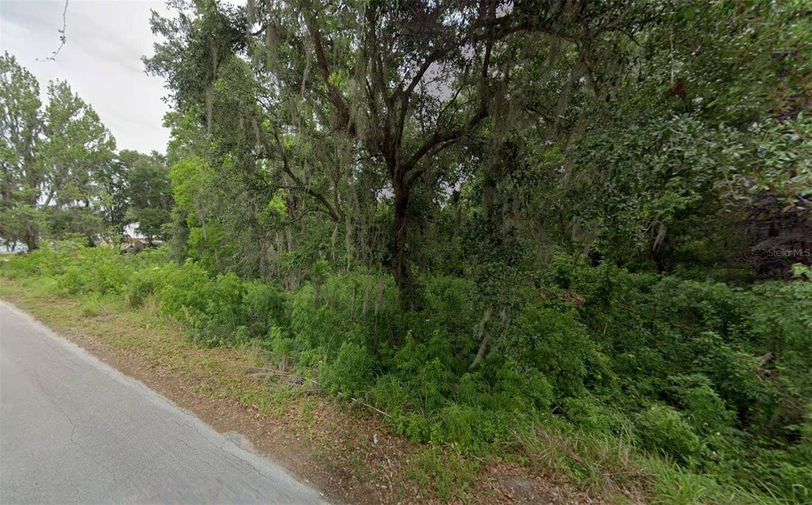 8340 LAKESHORE DRIVE, Yalaha, FL 34797
