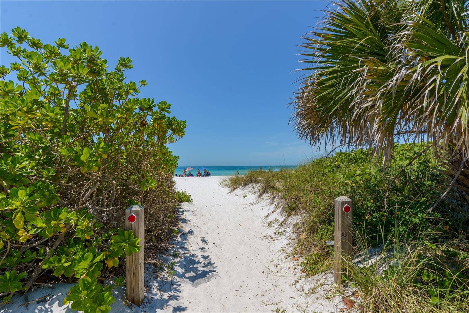 163 AMERICAS CUP BOULEVARD, Bradenton, FL 34208 163 AMERICAS CUP BOULEVARD, Bradenton, FL 34208