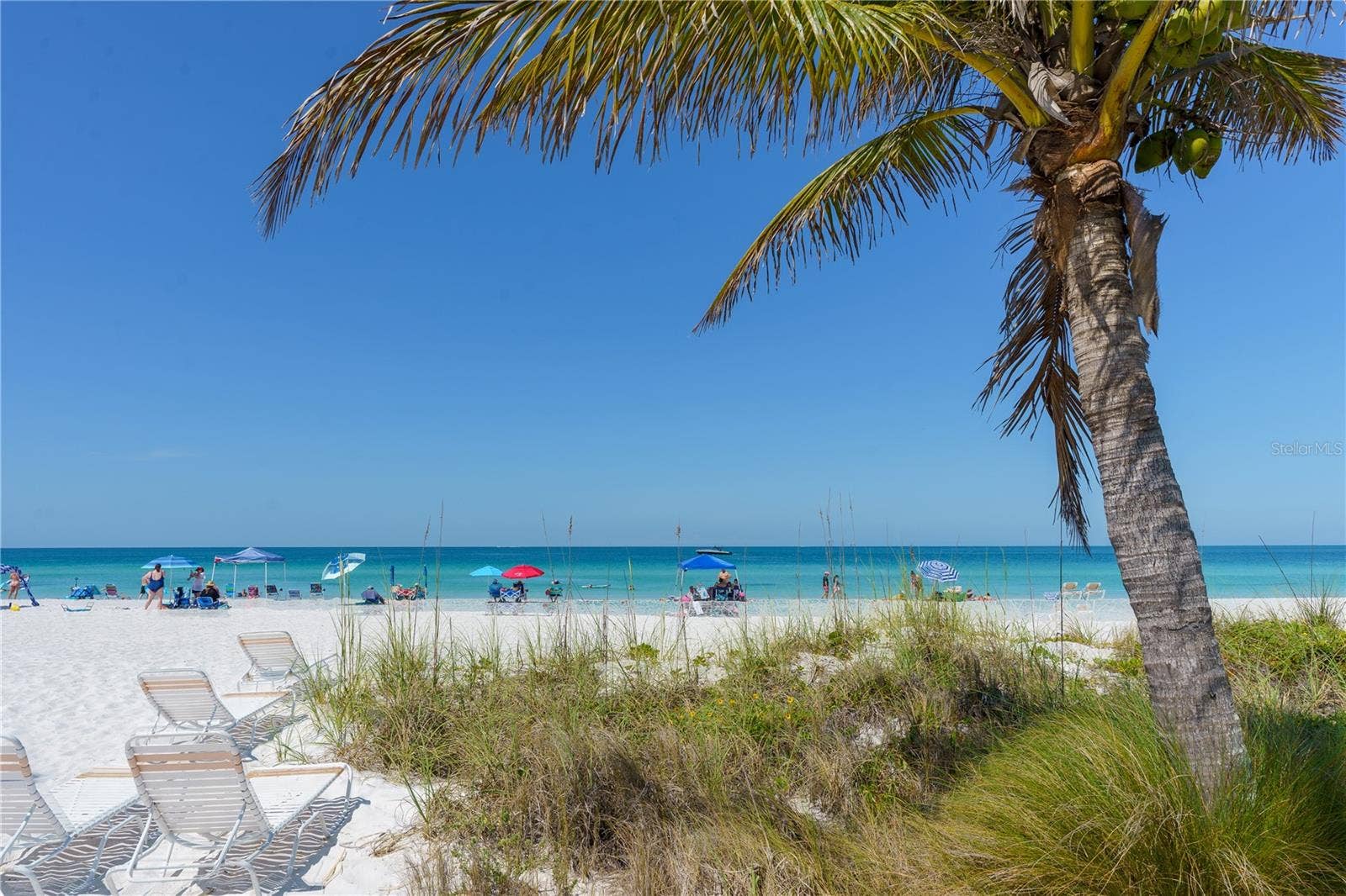 163 AMERICAS CUP BOULEVARD, Bradenton, FL 34208 163 AMERICAS CUP BOULEVARD, Bradenton, FL 34208