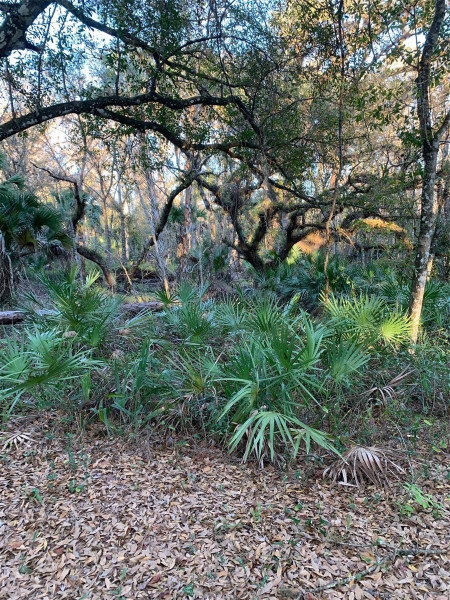 Property photo for 49 FENNY BOSK TRAIL, Venus, FL