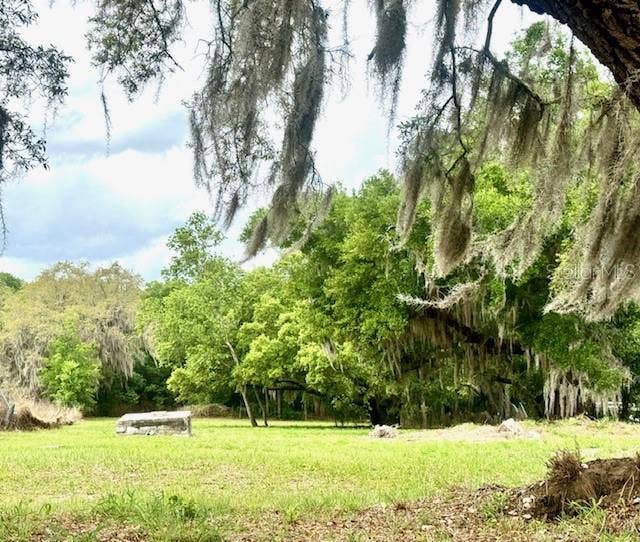 Property photo for 1031 ORANGE BOULEVARD, Polk City, FL