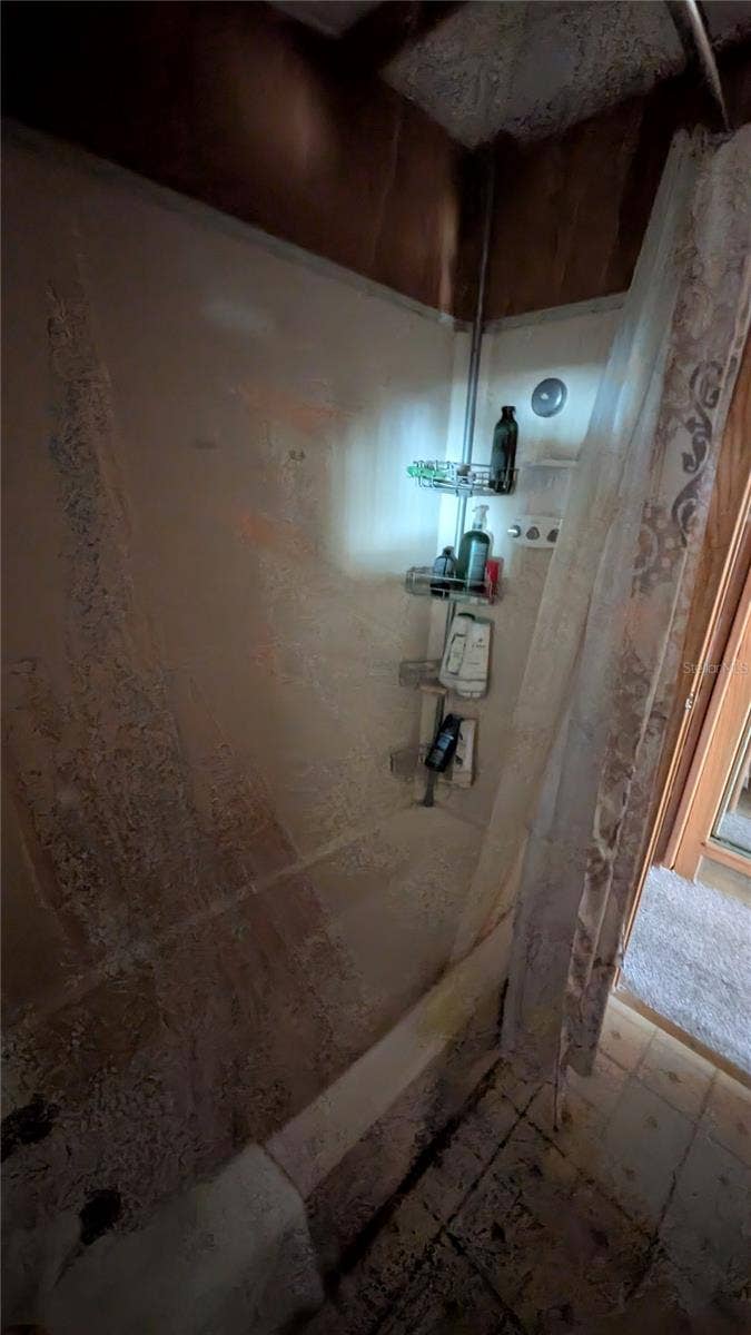 207 CITRUS RIDGE DRIVE, Davenport, FL 33837 HALL BATHROOM