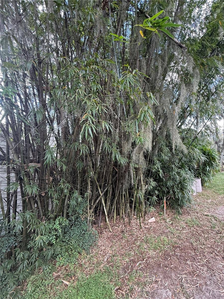 6926 ODONIEL LOOP W, Lakeland, FL 33809 6926 ODONIEL LOOP W, Lakeland, FL 33809