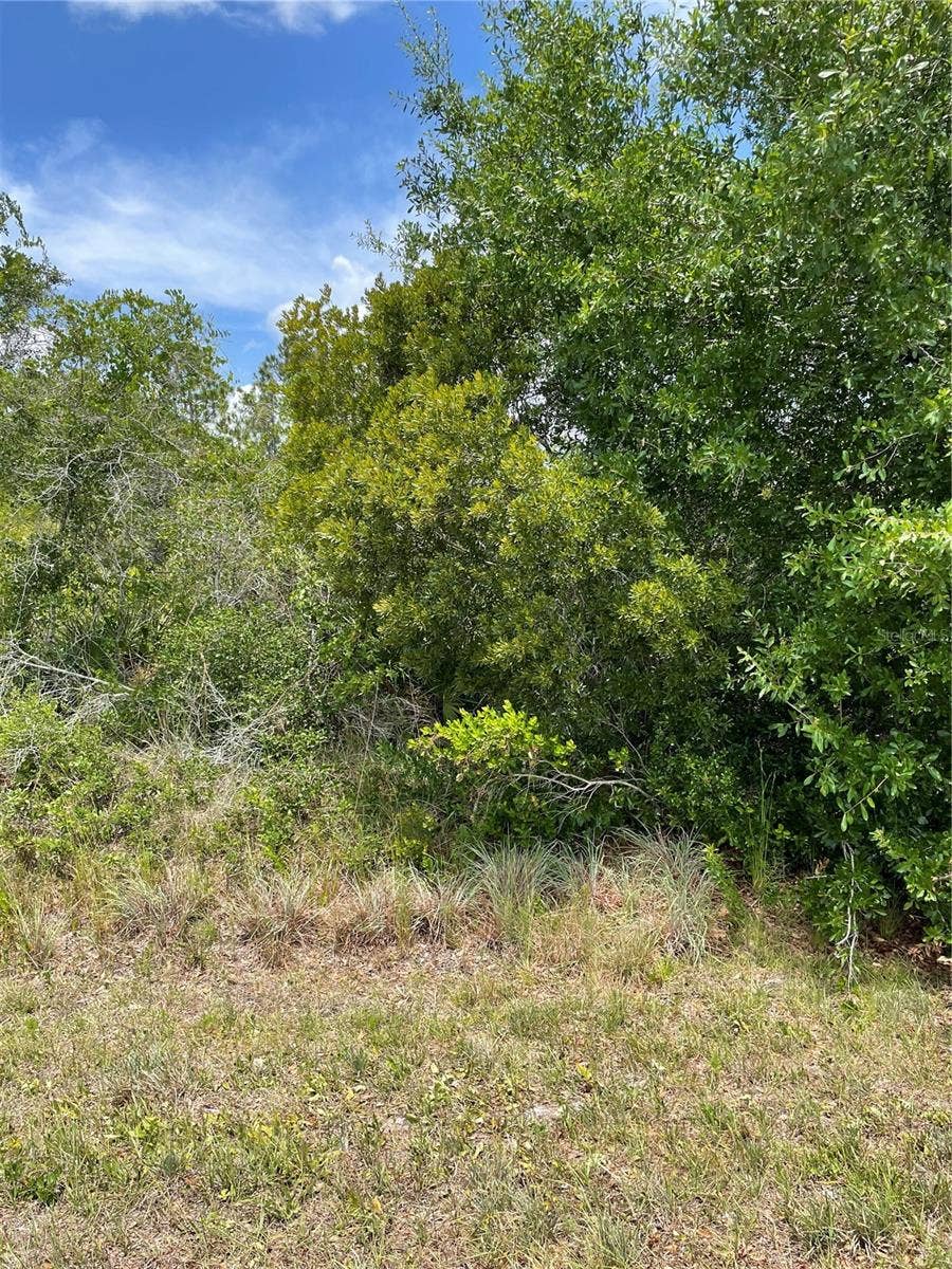 Property photo for 33514, 33522,33528 WASHINGTON LOOP ROAD, Punta Gorda, FL