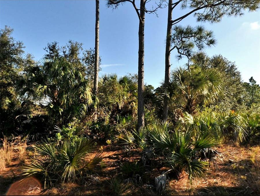 Property photo for Lot 3 HAMBURG DRIVE, North Port, FL