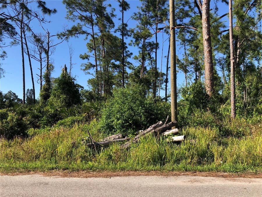 Property photo for DANDURAND AVENUE, North Port, FL