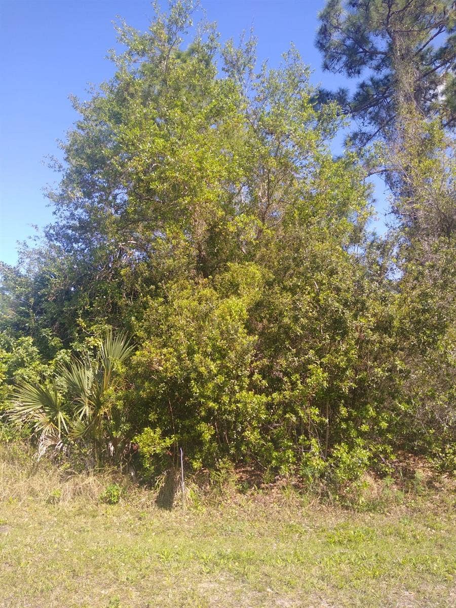 Property photo for 306 MCDILL DRIVE, Port Charlotte, FL
