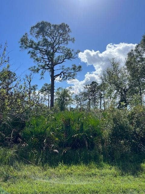 Property photo for 13100 ELEANOR AVENUE, Port Charlotte, FL