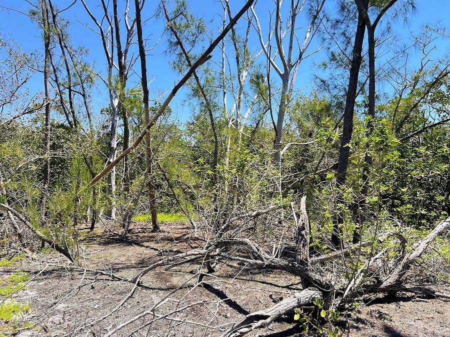 Property photo for MANASOTA KEY ISLAND, Englewood, FL