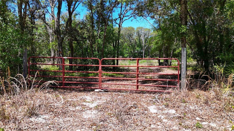 Property photo for 34281 UMBRELLA ROCK DRIVE, Webster, FL