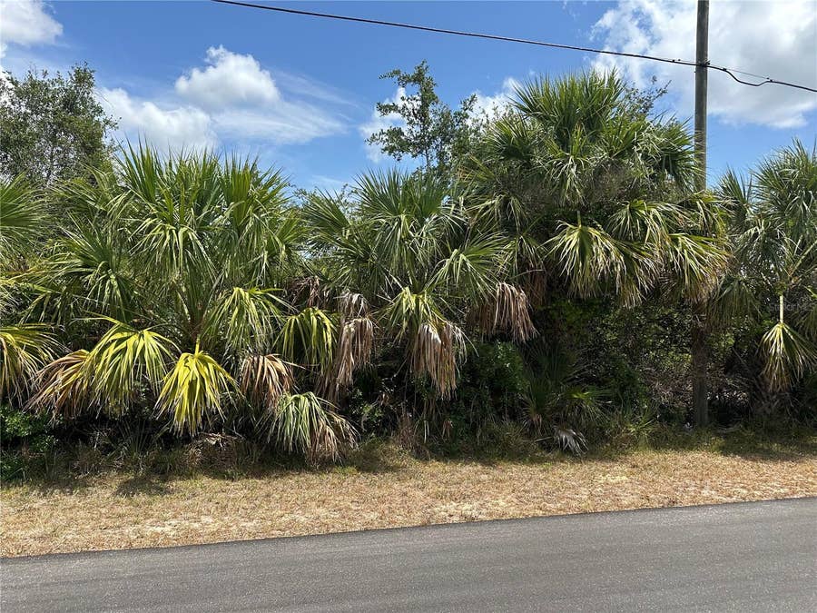 Property photo for 12006 GROUSE AVENUE, Port Charlotte, FL