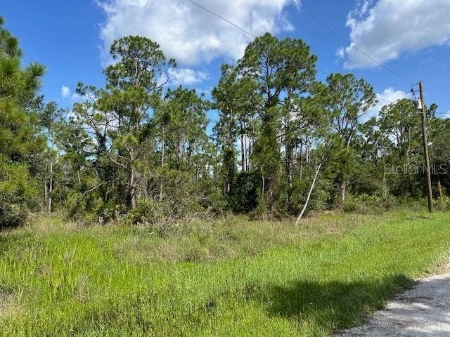 Property photo for 13042 APACHE DRIVE, Punta Gorda, FL