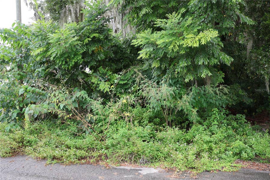 Property photo for 3330 SE 11TH AVENUE, Ocala, FL