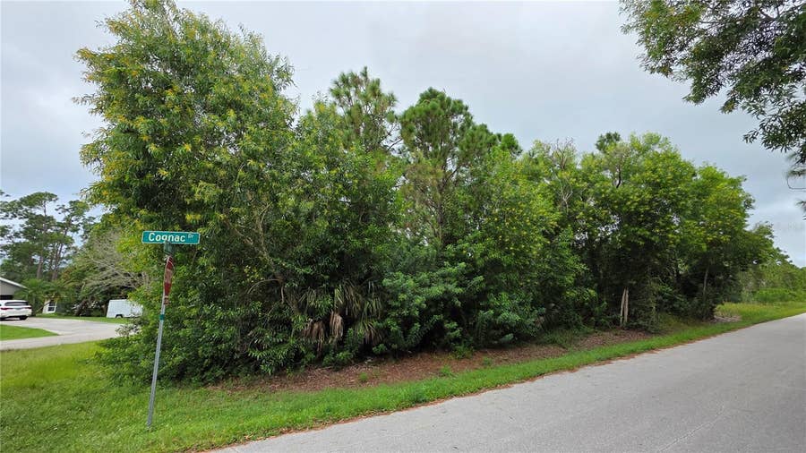 Property photo for 12339 COGNAC DRIVE, Punta Gorda, FL