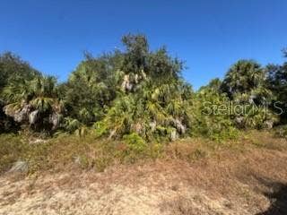Property photo for LOT 4 MATTOX CIRCLE, North Port, FL