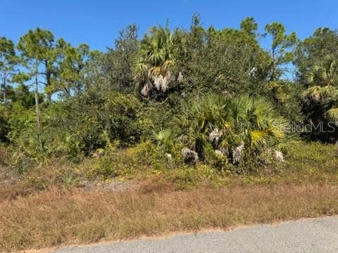 Property photo for LOT 2 MATTOX CIRCLE, North Port, FL