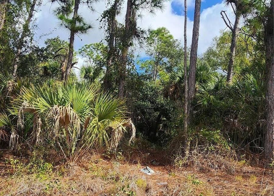 Property photo for ANANAS ROAD, North Port, FL