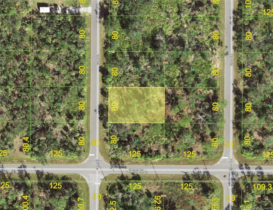 Property photo for 1520 CAPEL STREET, Port Charlotte, FL
