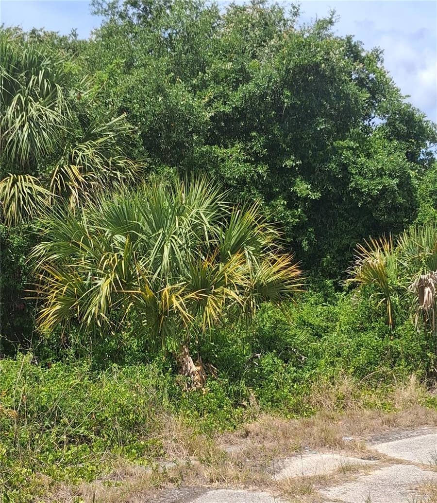 Property photo for N HOLLOWAY AVENUE, North Port, FL