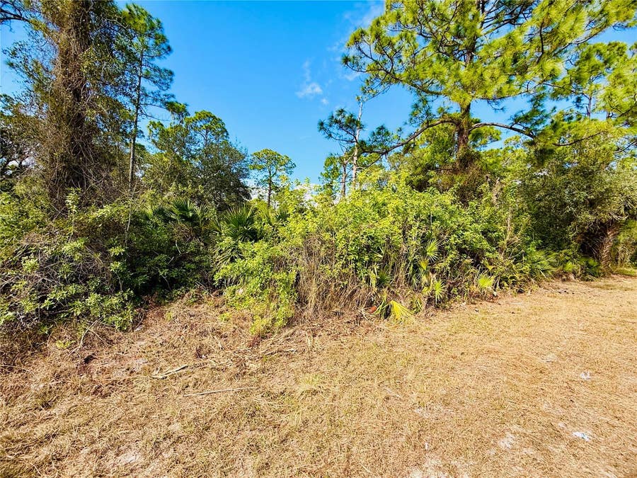 Property photo for 2007 TRUMAN AVENUE, Alva, FL
