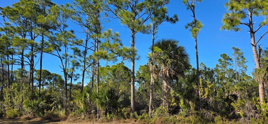 Property photo for 12054 KELLER AVENUE, Port Charlotte, FL